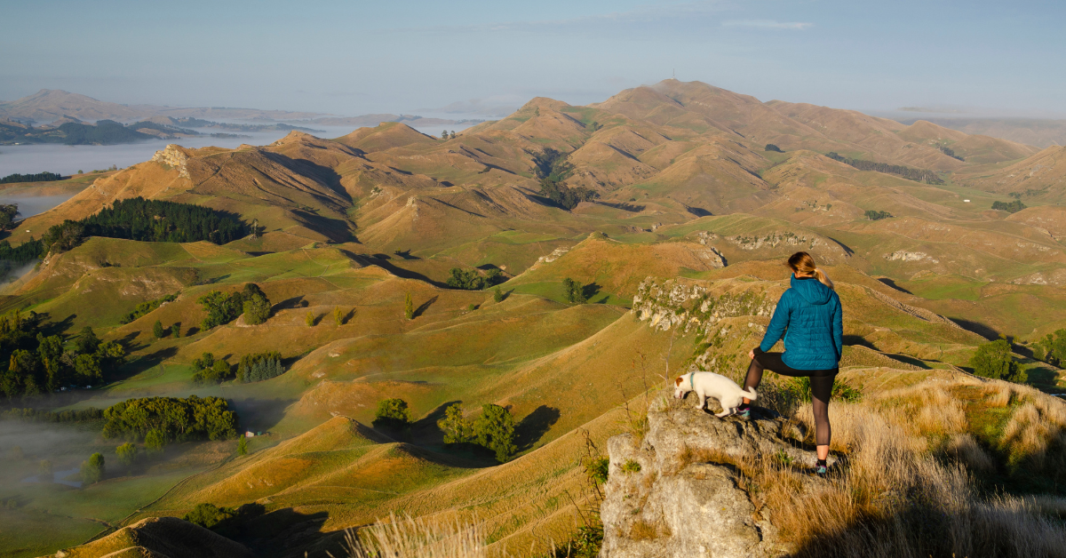 What it's like working in New Zealand as a doctor?